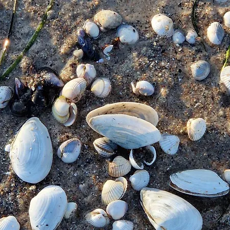 Apartmán Berliner Hof App. 212 - Strandallee 141 - *