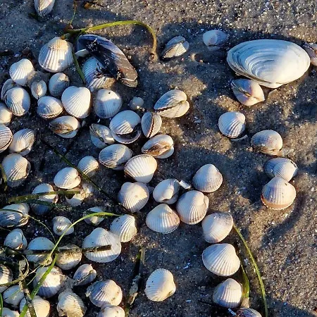 Apartmán Berliner Hof App. 212 - Strandallee 141 - Scharbeutz